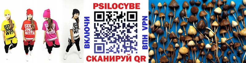 Галлюциногенные грибы MAGIC MUSHROOMS  Купить закладки  Моздок 